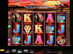 PG麒麟送宝最新版